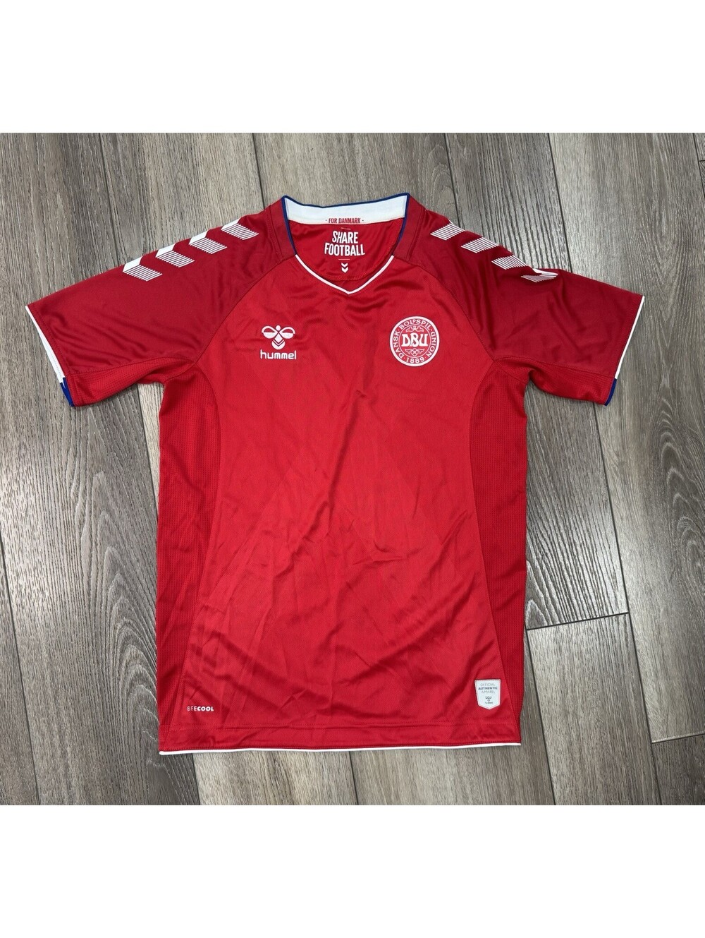 Denmark Football Home Jersey Boys size 14y  Red Soccer Shirt